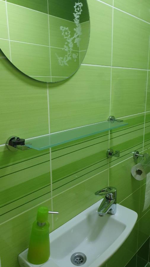 Spa Apartment Raisova كارلوفي فاري المظهر الخارجي الصورة
