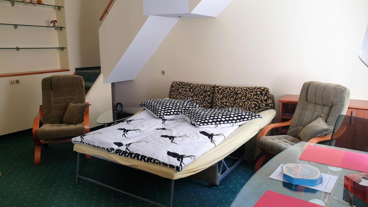 Spa Apartment Raisova كارلوفي فاري المظهر الخارجي الصورة
