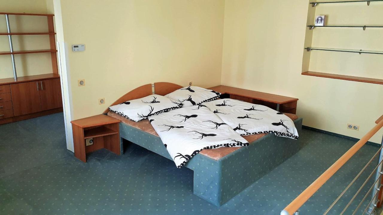 Spa Apartment Raisova كارلوفي فاري المظهر الخارجي الصورة