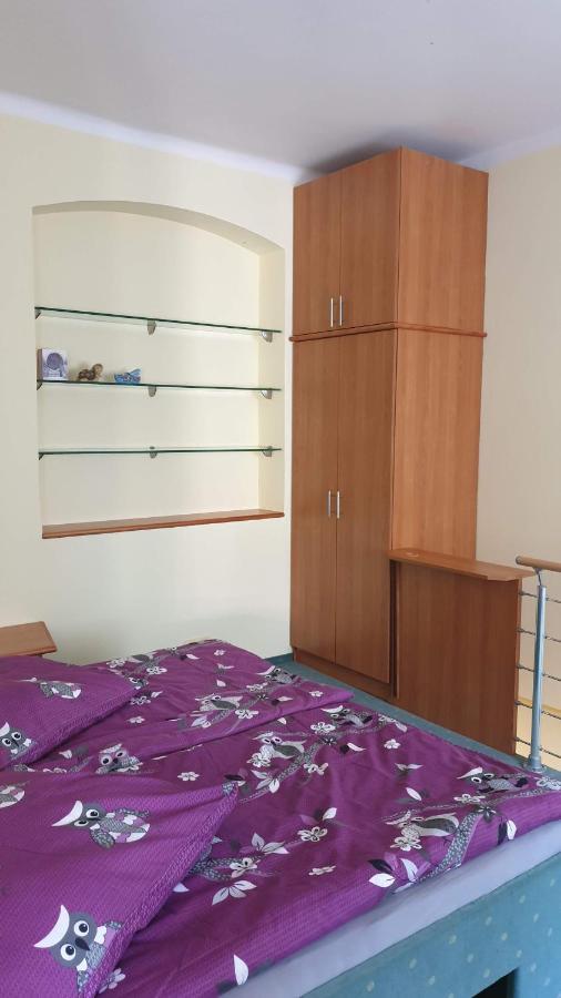 Spa Apartment Raisova كارلوفي فاري المظهر الخارجي الصورة